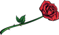 rose